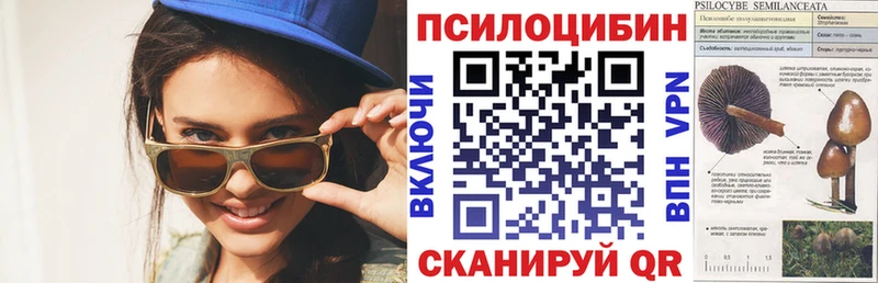 закладка  Черняховск  сайты даркнета клад  Галлюциногенные грибы ЛСД 